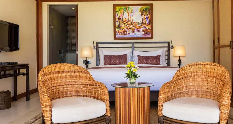 Panacea Retreat - Purana Residence_4