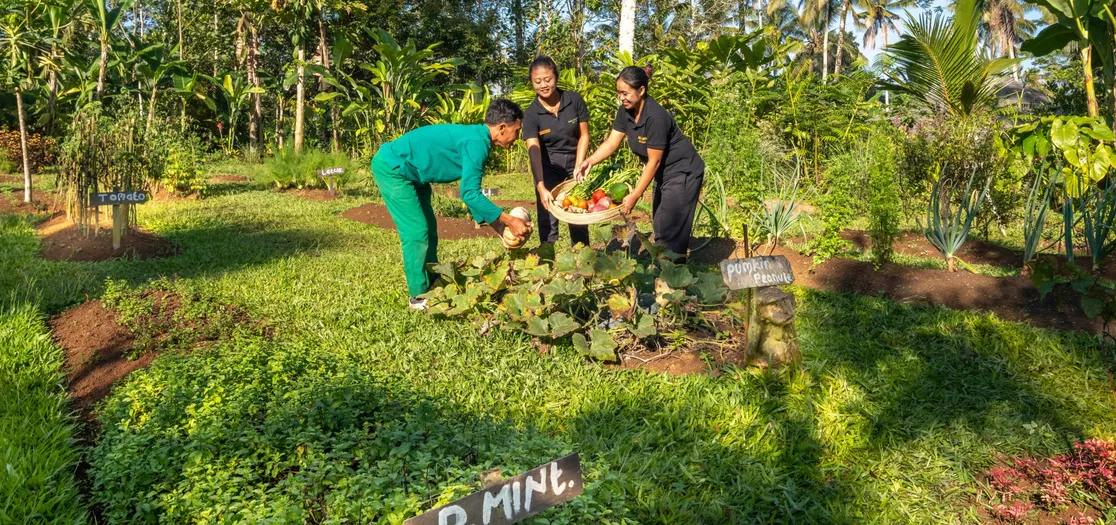 Nag Shampa Private Estate_17