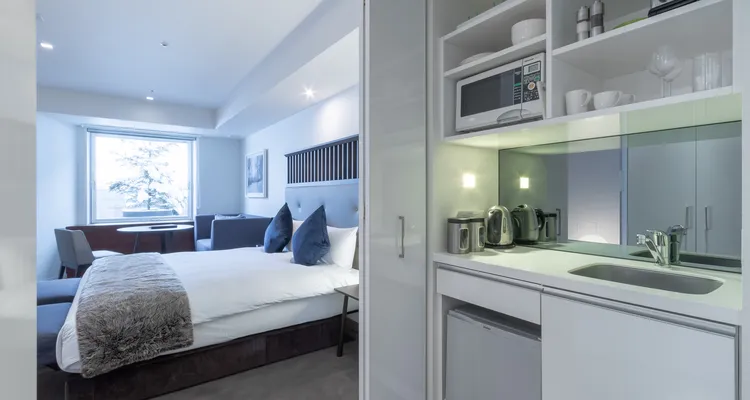 The Vale Niseko - Superior Hotel Room (Lower Ground)_4
