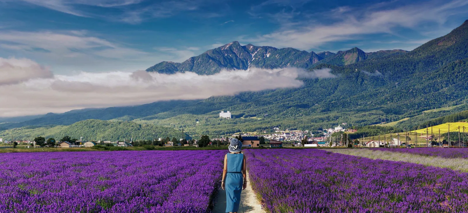 Summer in Hokkaido