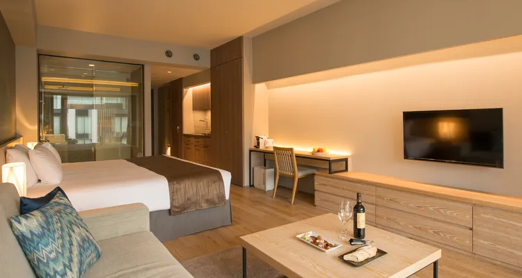 AYA Niseko - Studio 1-Bed 1-Bath Village View_2