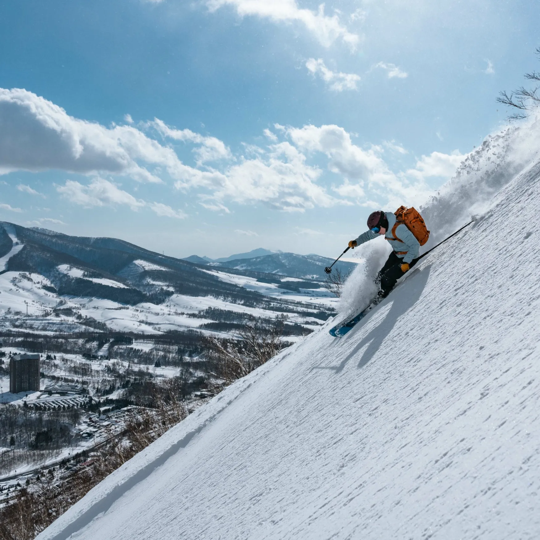 Hokkaido Winter Early Bird
