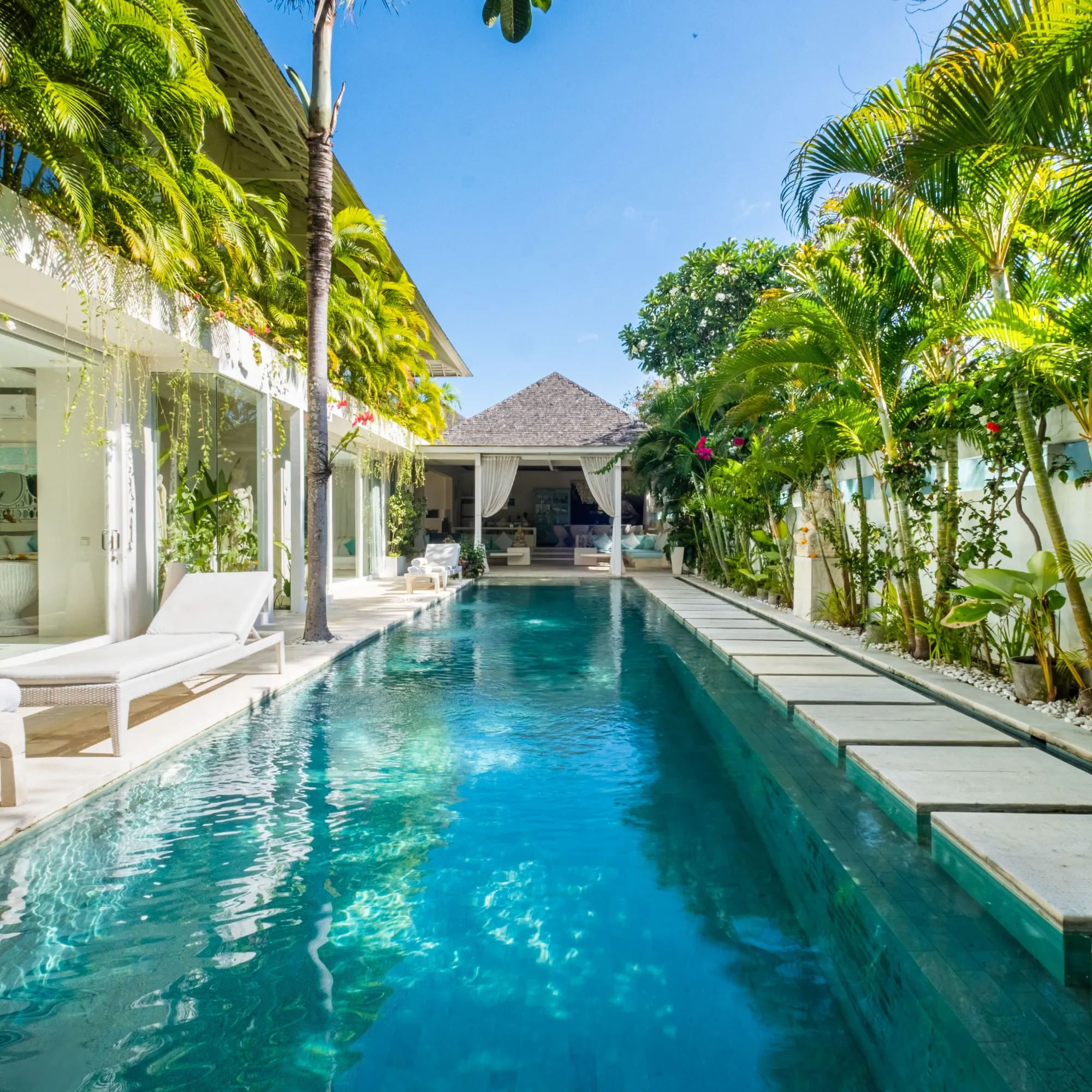Bali Early Bird